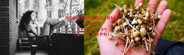 2c-b Алексеевка
